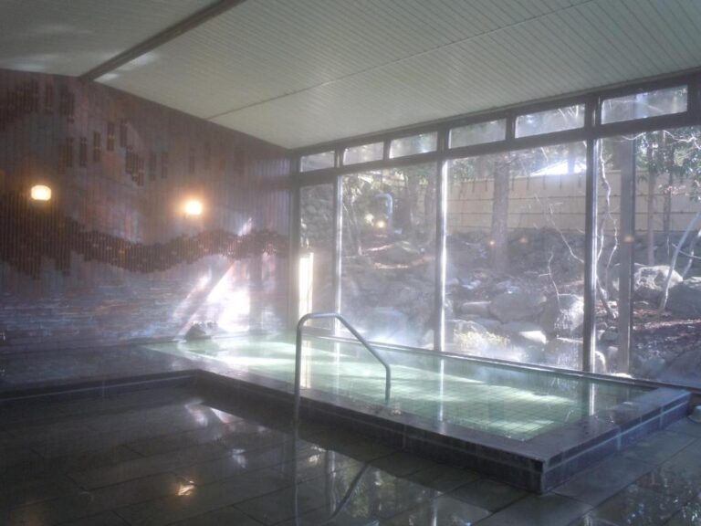 Hotel Seikoen Onsen Bath