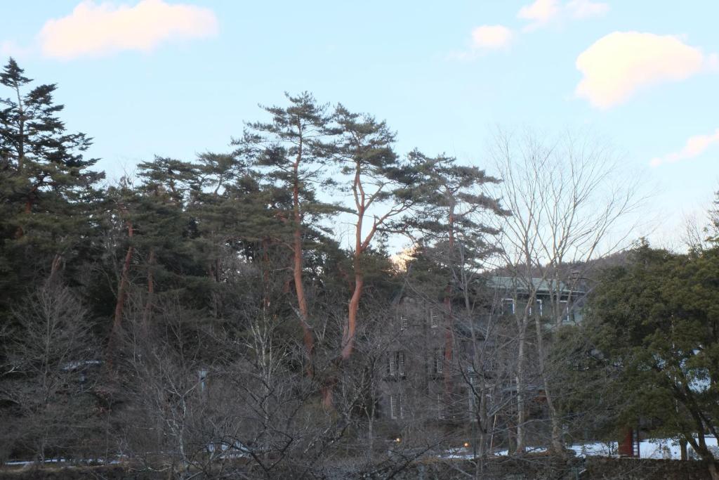 Hotel Seikoen Outdoor Trees