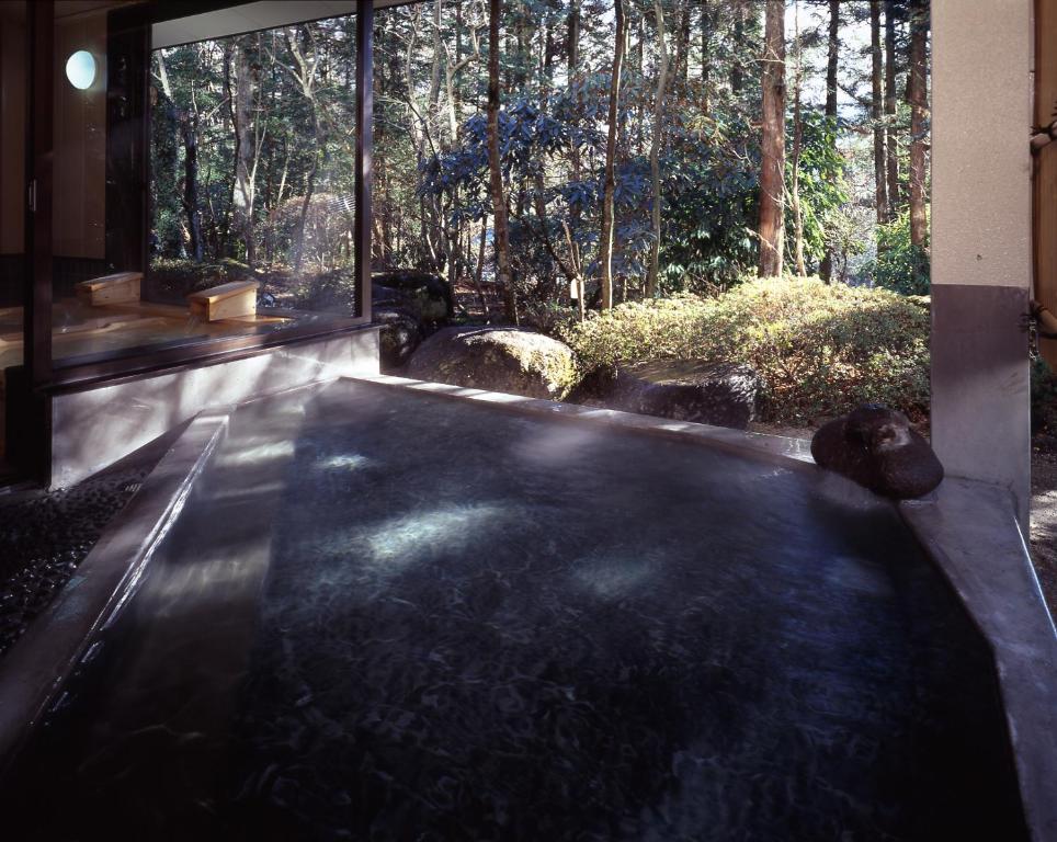 Hotelseikoen Onsen View