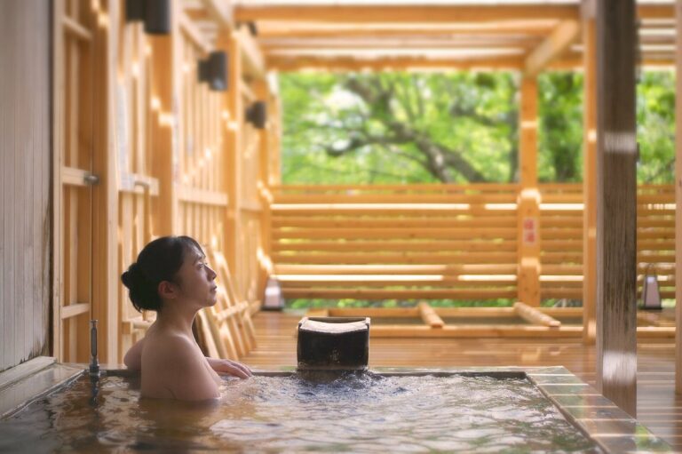 Ichinoseki Onsen Area