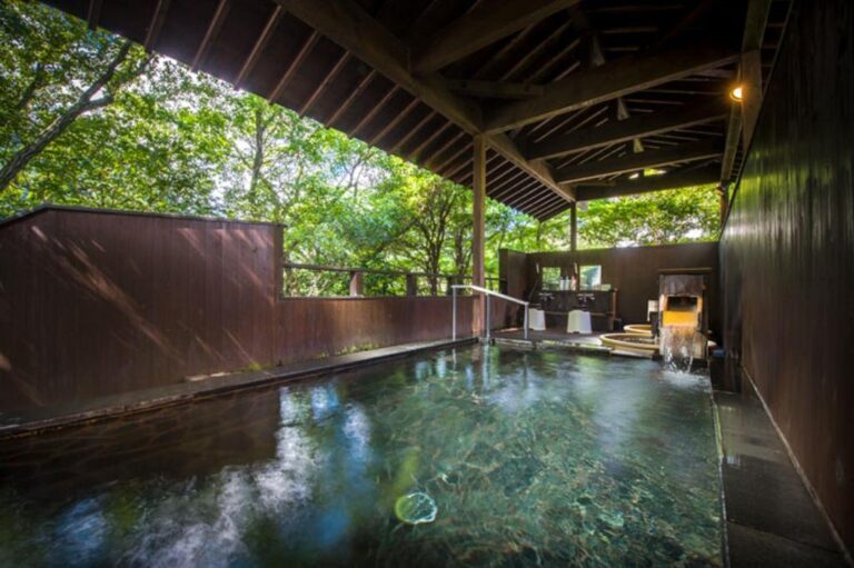 Irodori Koyo Onsen