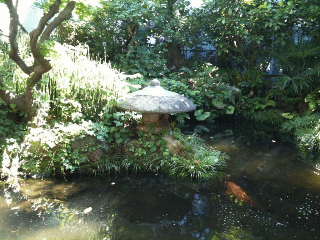Kamei Ryokan Garden Pond