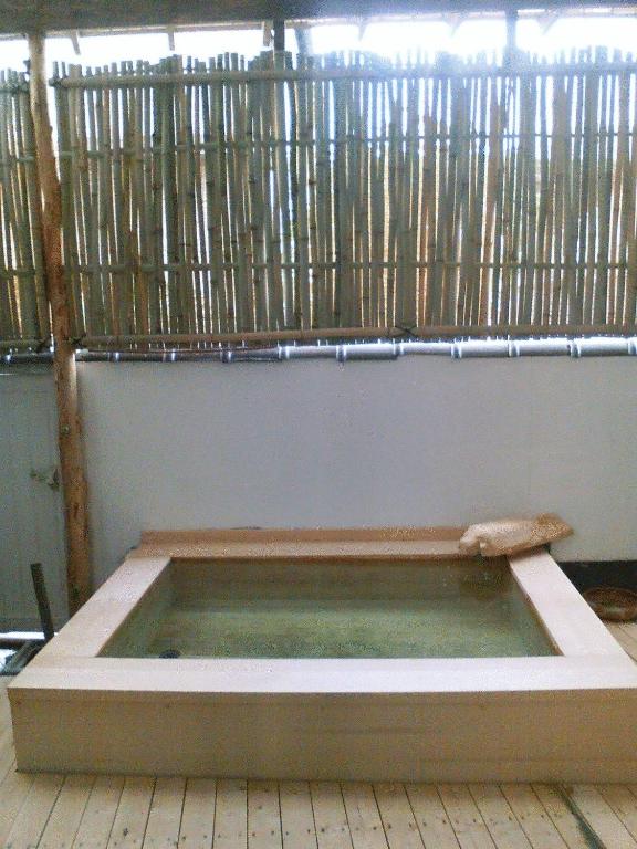 Kamesei Ryokan Onsen Bath
