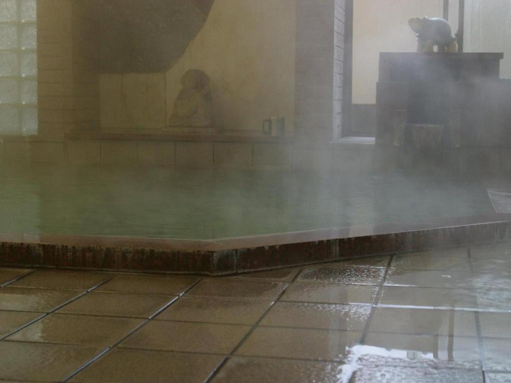 Kamesei Ryokan Onsen