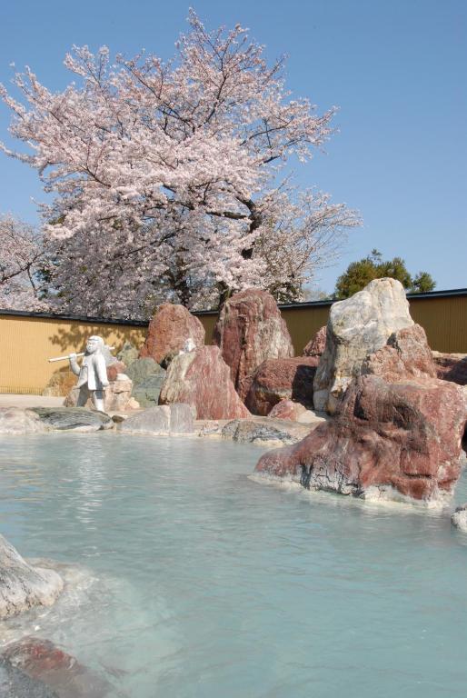 Kintarou Outdoor Onsen Sakurablossoms
