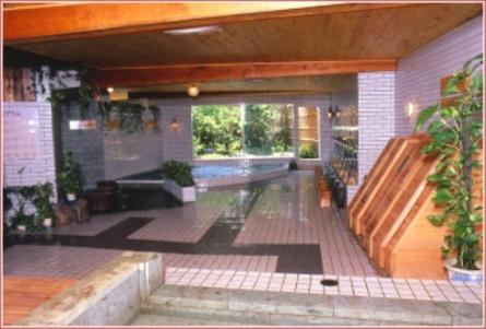 Kurhaus Ishibashi Ryokan Indoor Onsen