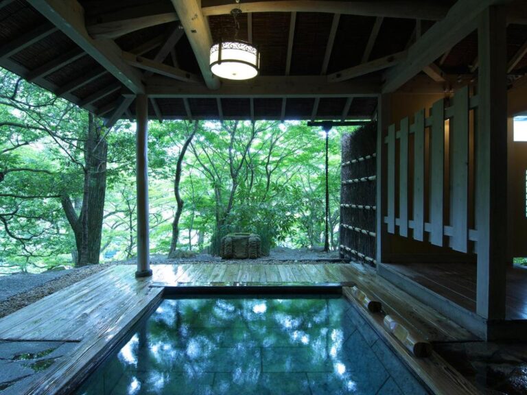 Musashino Bekkan Onsen View
