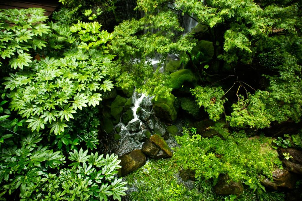 Nishi No Miyabi Tokiwa Garden Waterfall