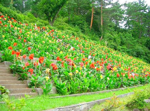 Nozawa Grand Hotel Flower Garden