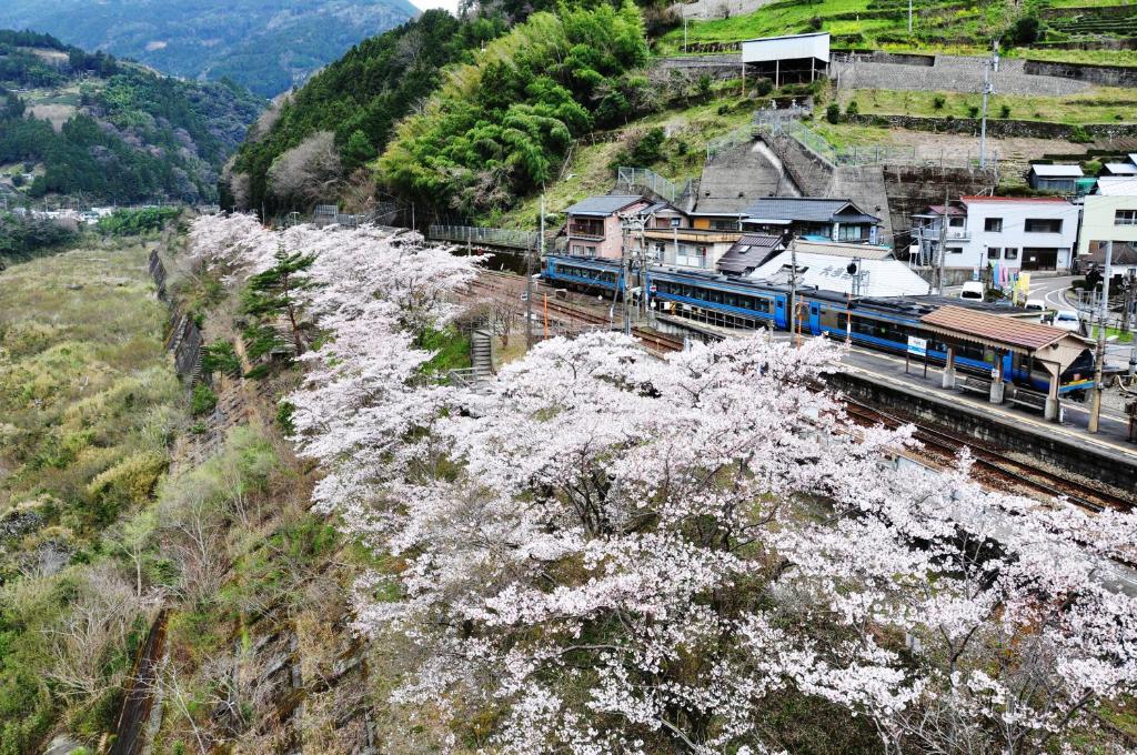 Obokekyo Mannaka Sakura Train Station