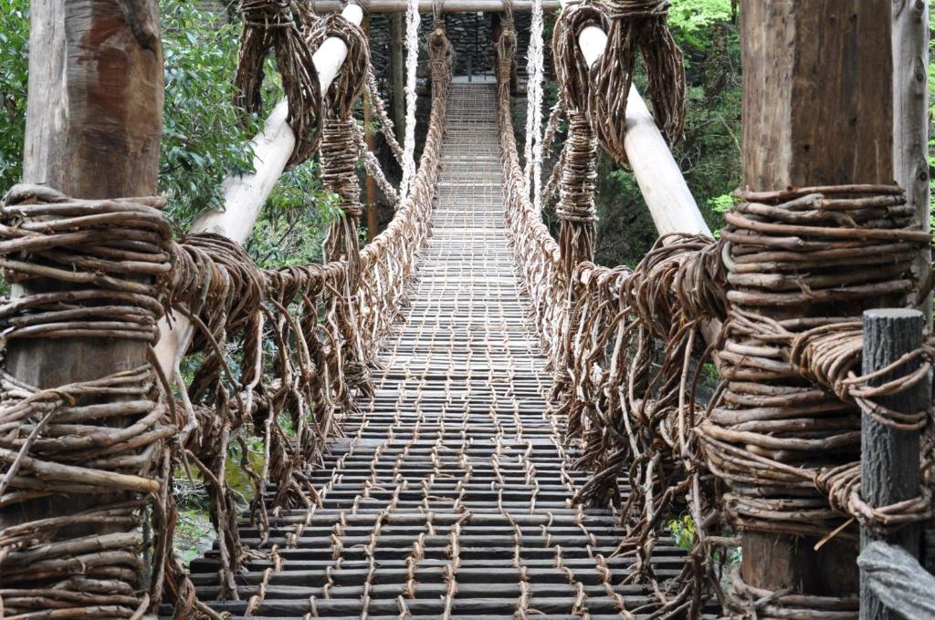 Obokekyo Mannaka Vine Bridge