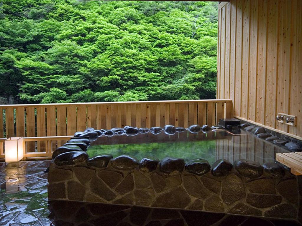 Okudogo Ichiyu No Mori Open Air Onsen
