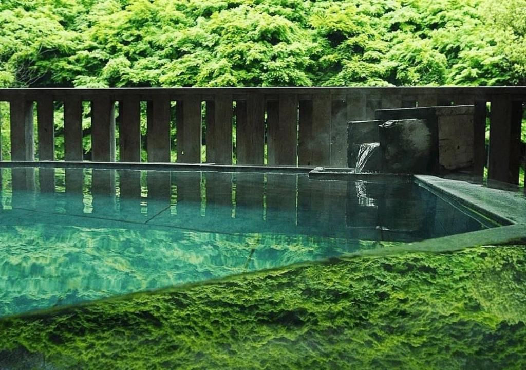 Okudogo Ichiyu No Mori Outdoor Onsen