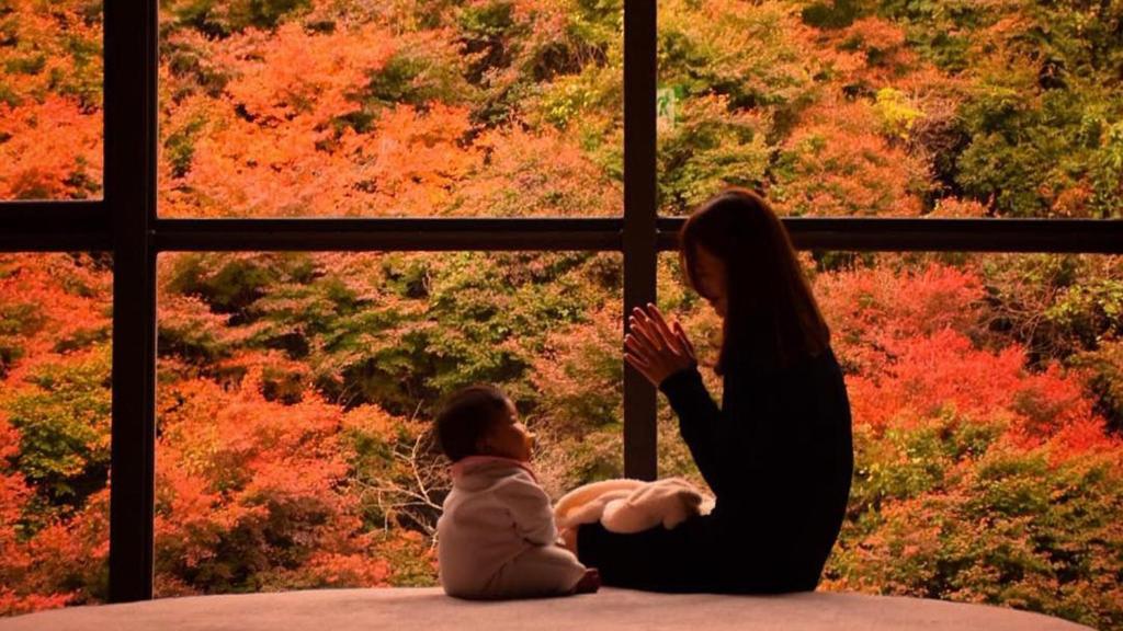 Okudogo Ichiyu No Mori View Autumn Leaves