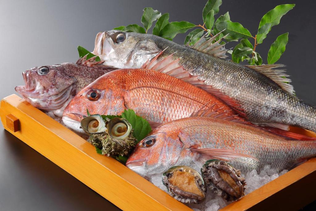 Atsumionsentachibanaya Fresh Fish Display
