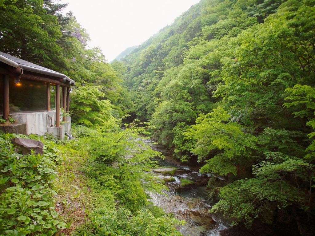 Irodoriyukashiki Hana To Hana Forest Stream