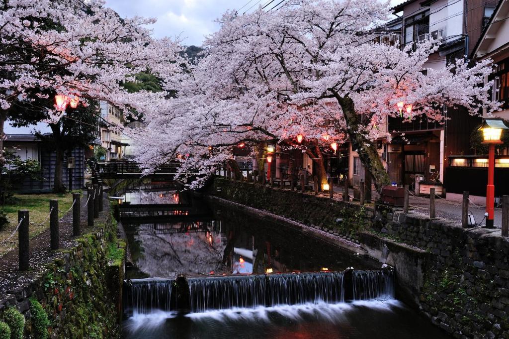 Kinosaki Yamamotoya Cherry Blossoms Canal