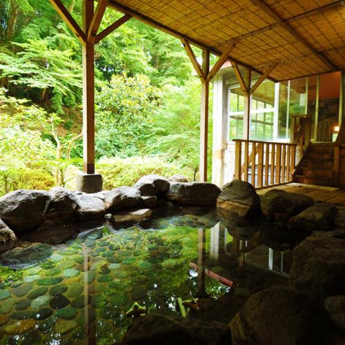 Mount Tsukuba Edoya Onsen
