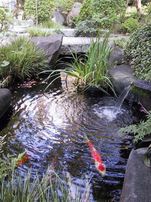 Ryokan Matsushima Koi Pond