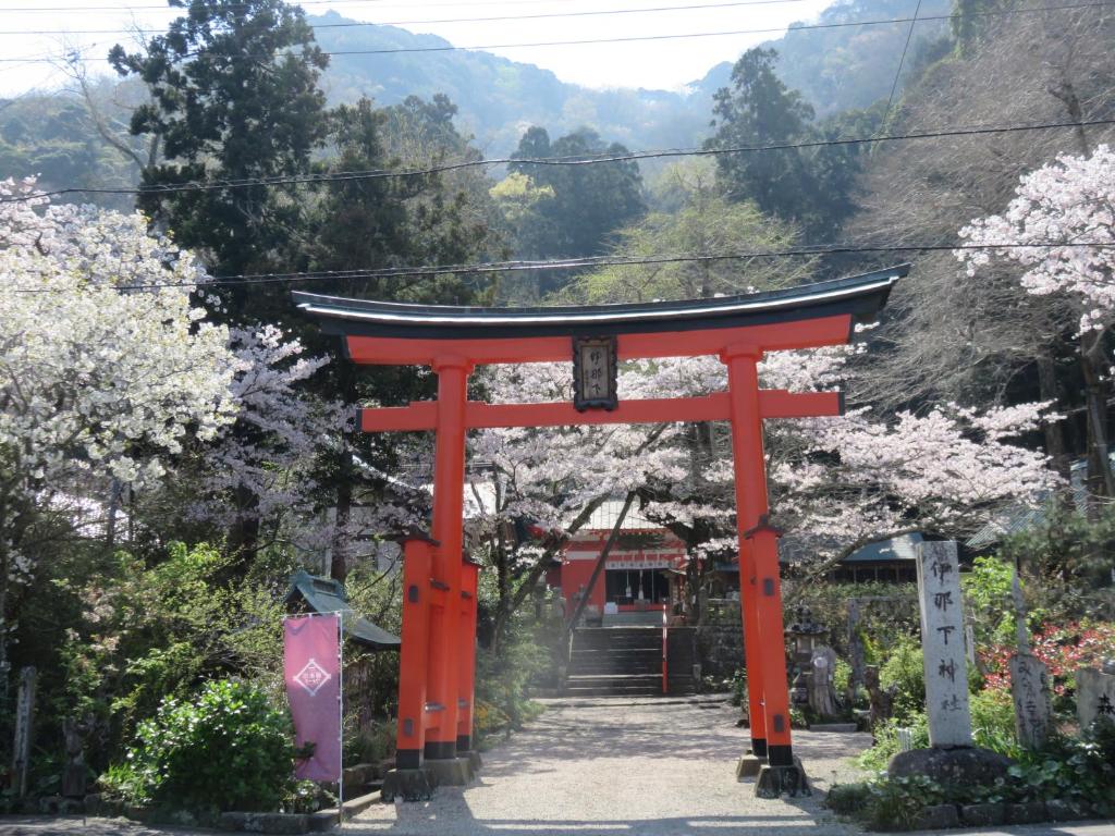 Ryokan Onyado Shinshima Torii Gate Cherry Blossoms