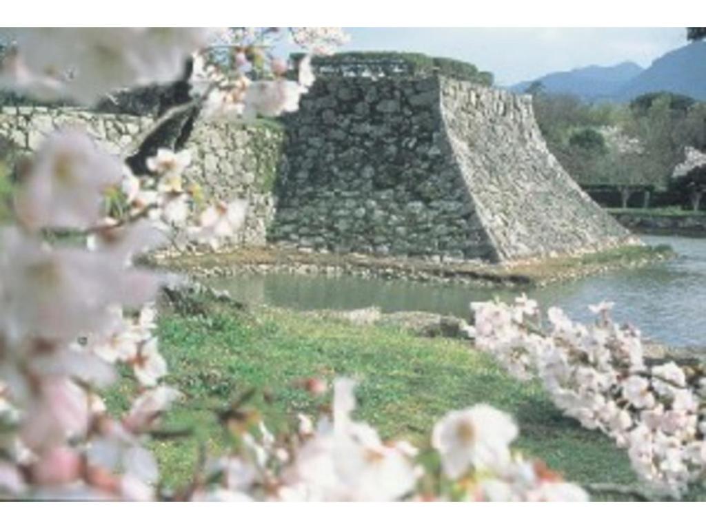 Senshunraku Stone Wall Cherry Blossoms
