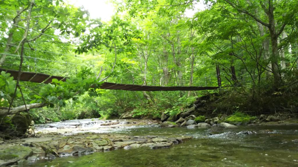 Shigaparkhotel Wooden Bridge River