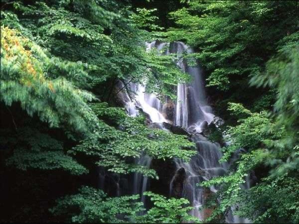 Shimofujiya Waterfall