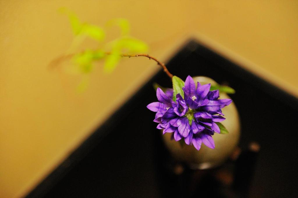Shirafune Grand Hotel Purple Flower Arrangement