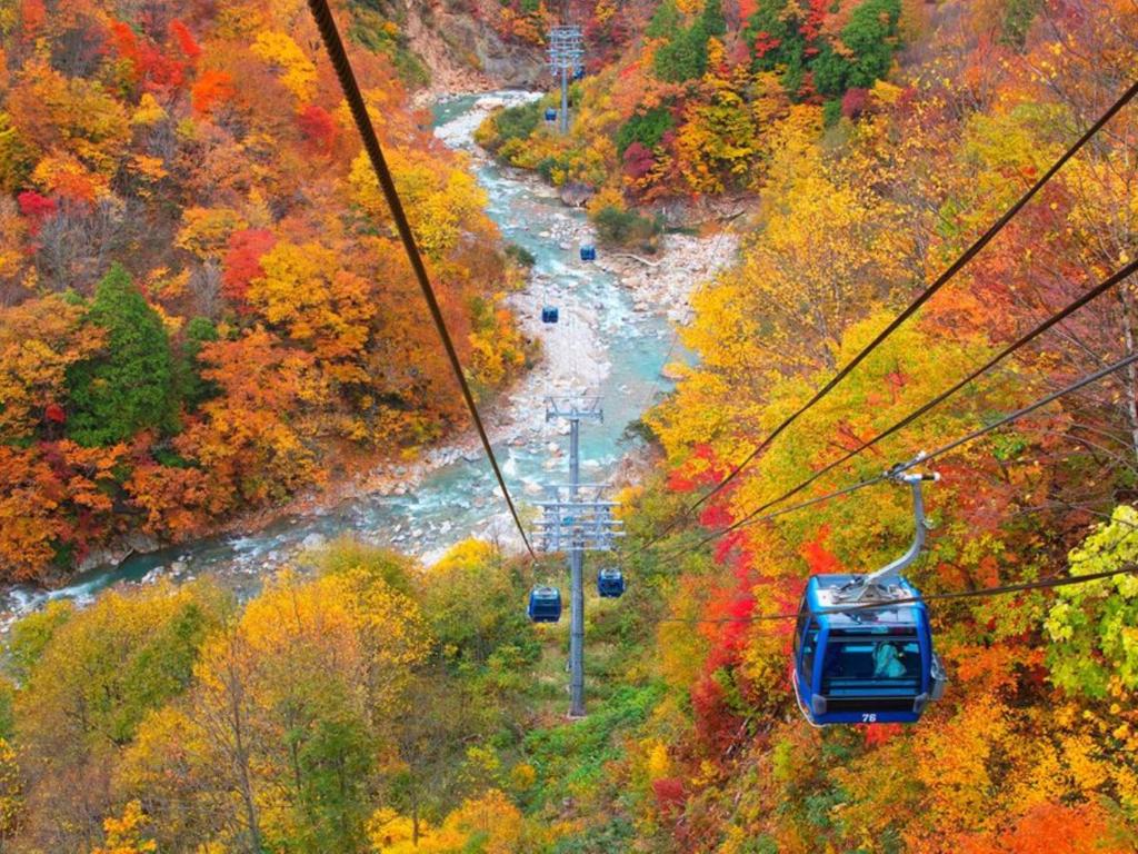 Shosenkaku Kagetsu Autumn Cable Car