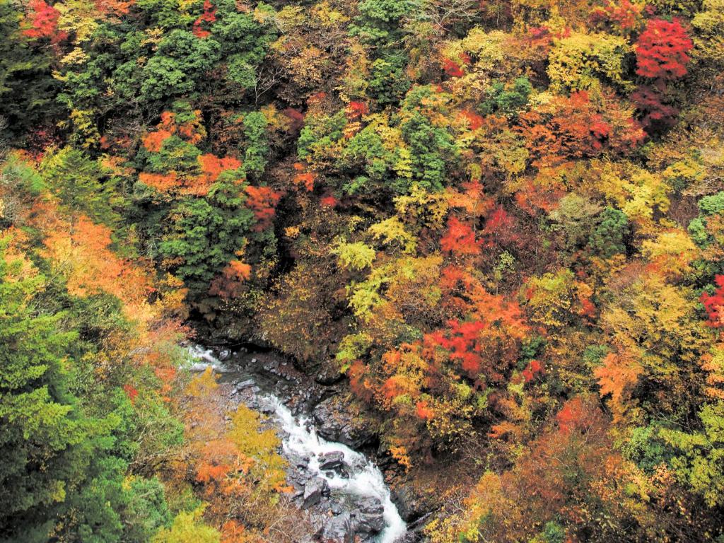 Suikoen Autumn Forest Stream