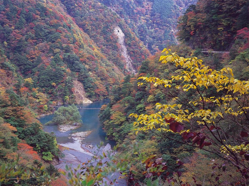 Suikoen Autumn Mountain River