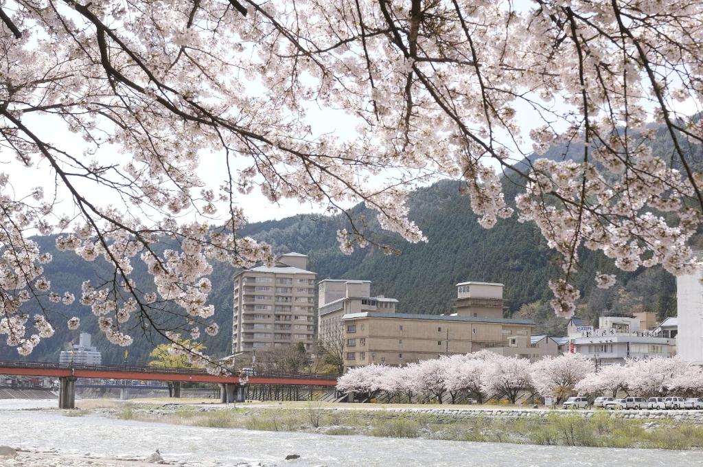 Suimeikan Cherry Blossoms River