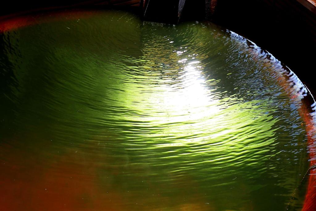 Taiseikan Onsen Water