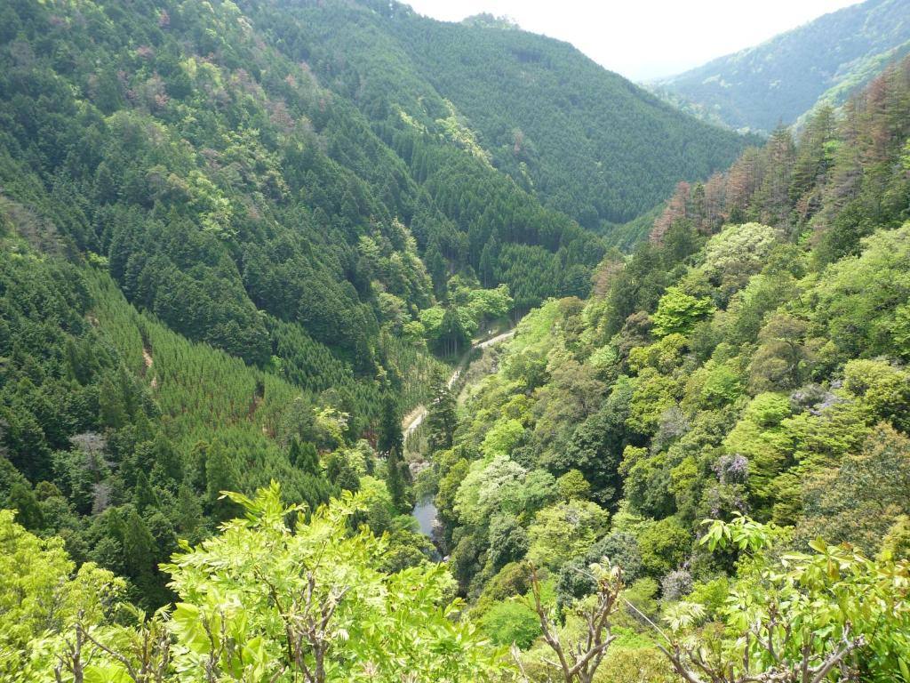 Takao Kanko Hotel Mountain Landscape