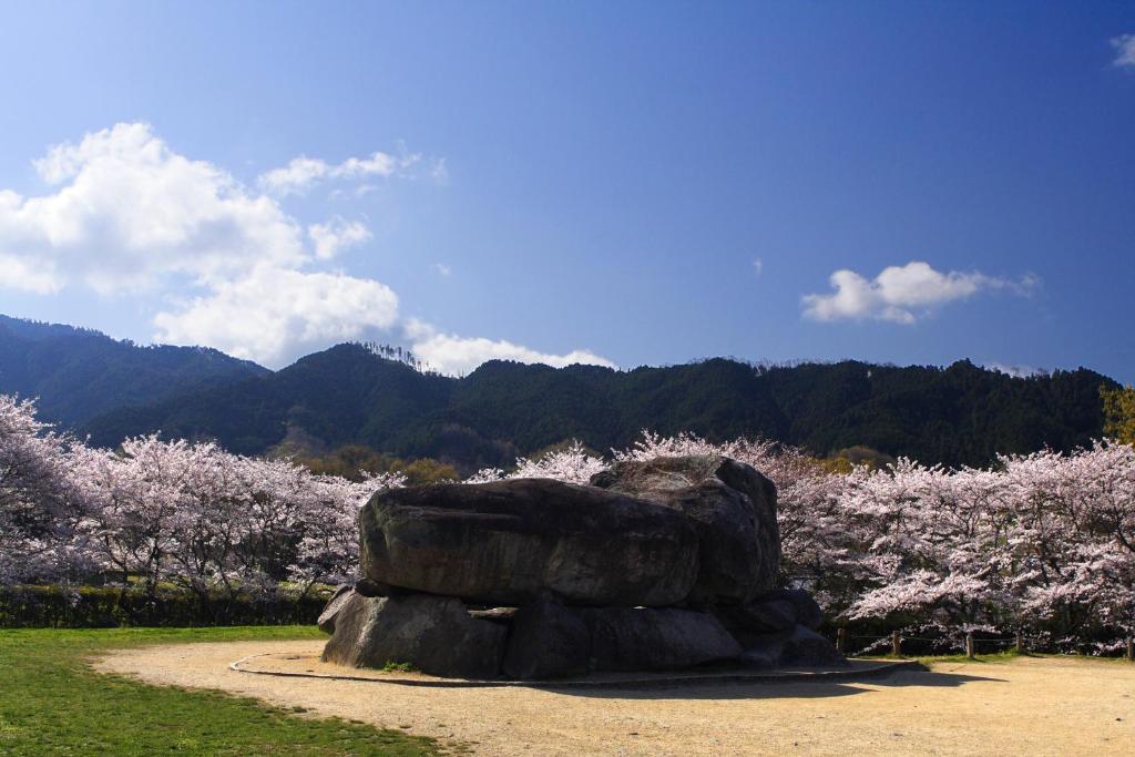 Tounomine Kanko Hotel Rock Garden Sakura