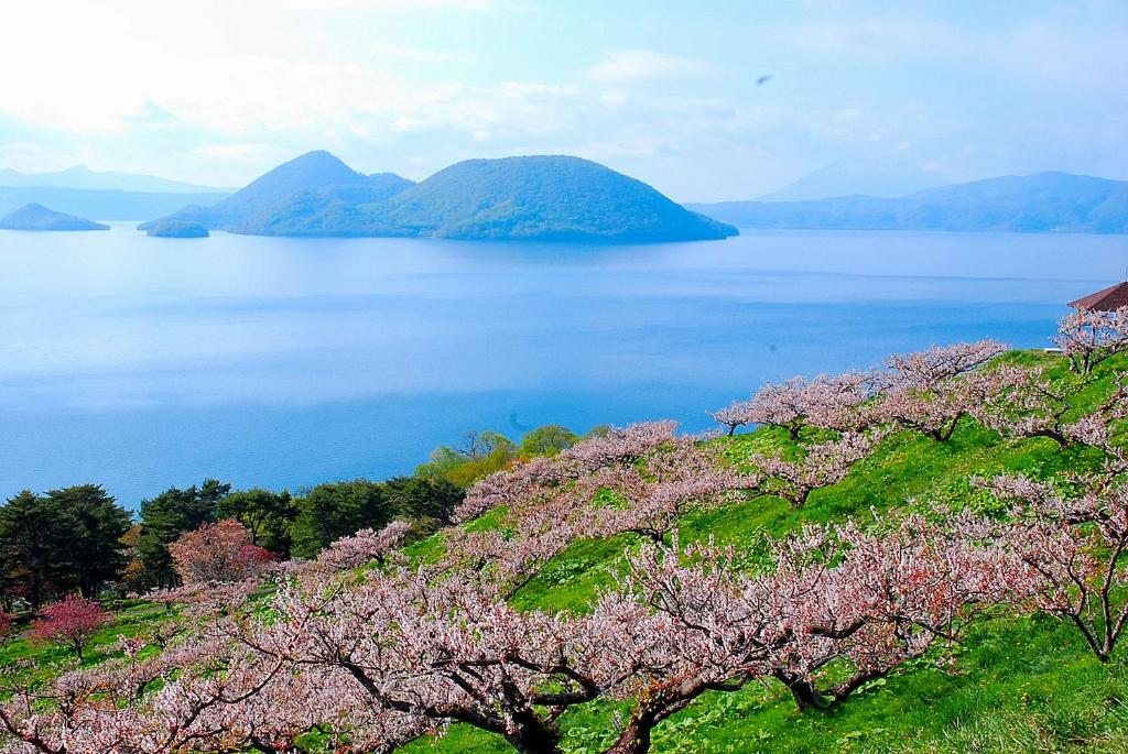Toyako Manseikaku Hotel Lakeside Terrace Lake And Cherry Blossoms