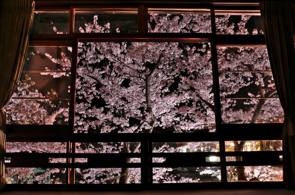 Tsutaya Ryokan Sakura Window View