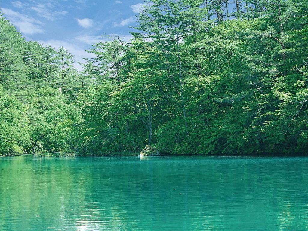 Villa Inawashiro Lake And Trees