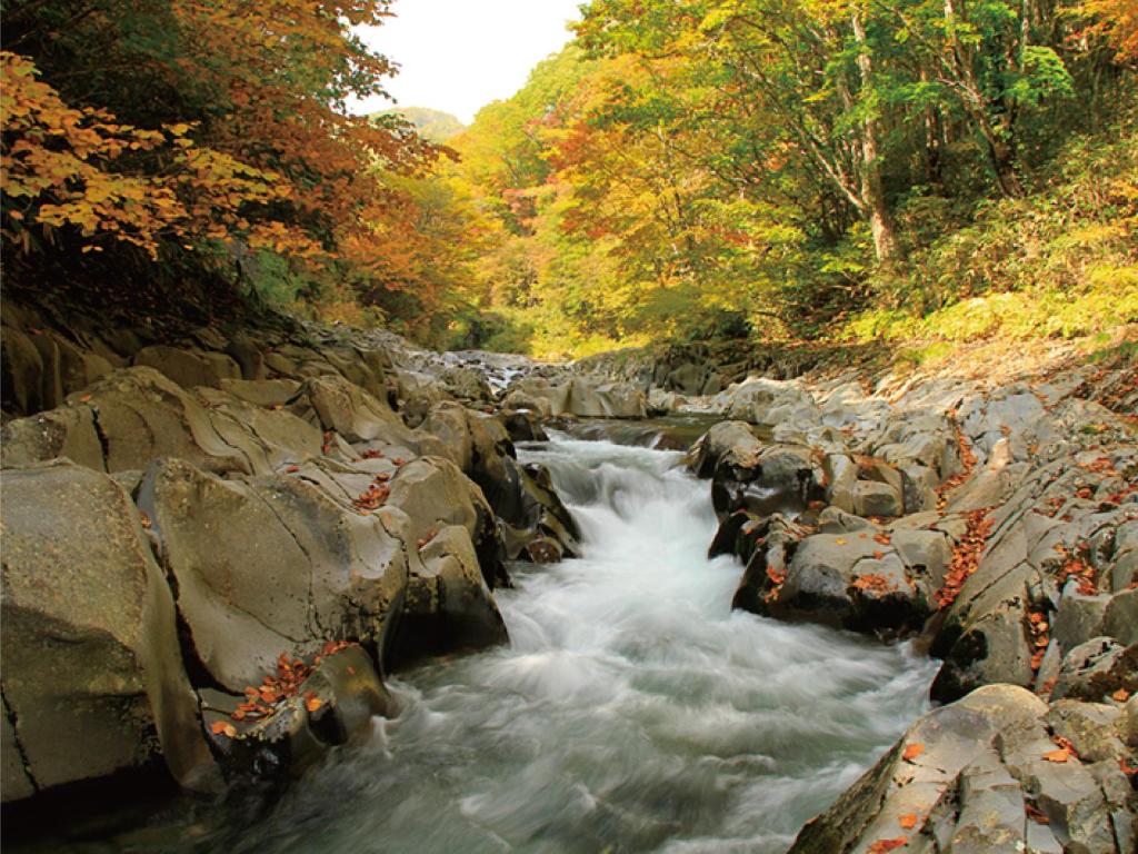 Villainawashiro River Autumn