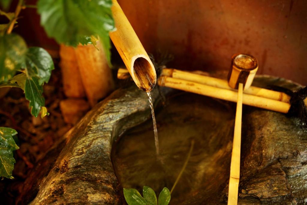 Wataya Bamboo Water Feature