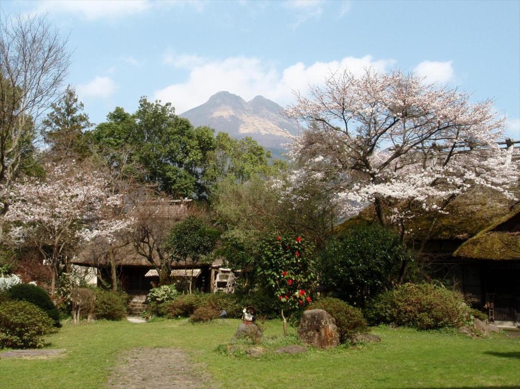 Yufuin Kotobuki Hananosho Garden Sakura Mountain