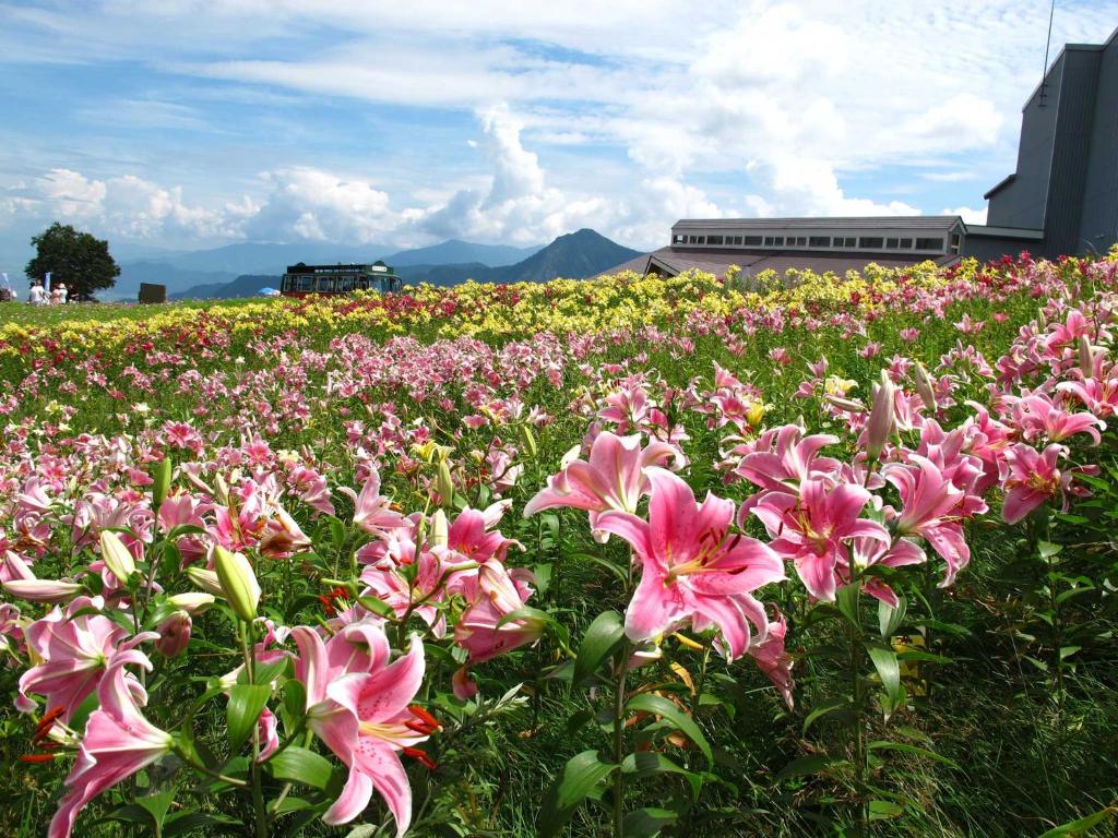 Yuzawa Toei Hotel Flower Field