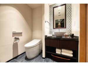 Toilet and sink vanity in the room bathroom