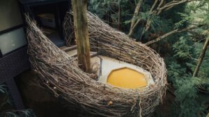 树木间由编织树枝围起的露天浴池