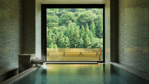 Bain intérieur face à une grande fenêtre et à la forêt
