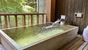Bagno privato in legno su un balcone con vista sulla foresta