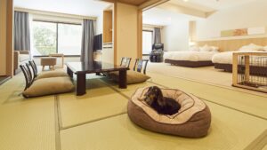 Camera in tatami con tavolo basso, cuscini e letti