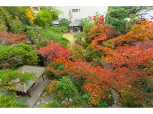 산책로와 작은 정자가 있는 가을 정원