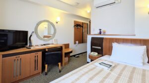 Camera con letto, scrivania, televisore e sedia