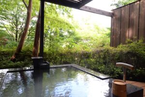 Bain extérieur privé entouré de verdure